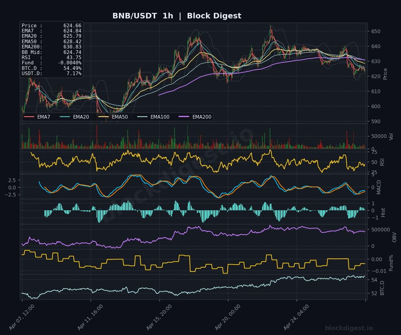 BNB/USDT 1h Chart
