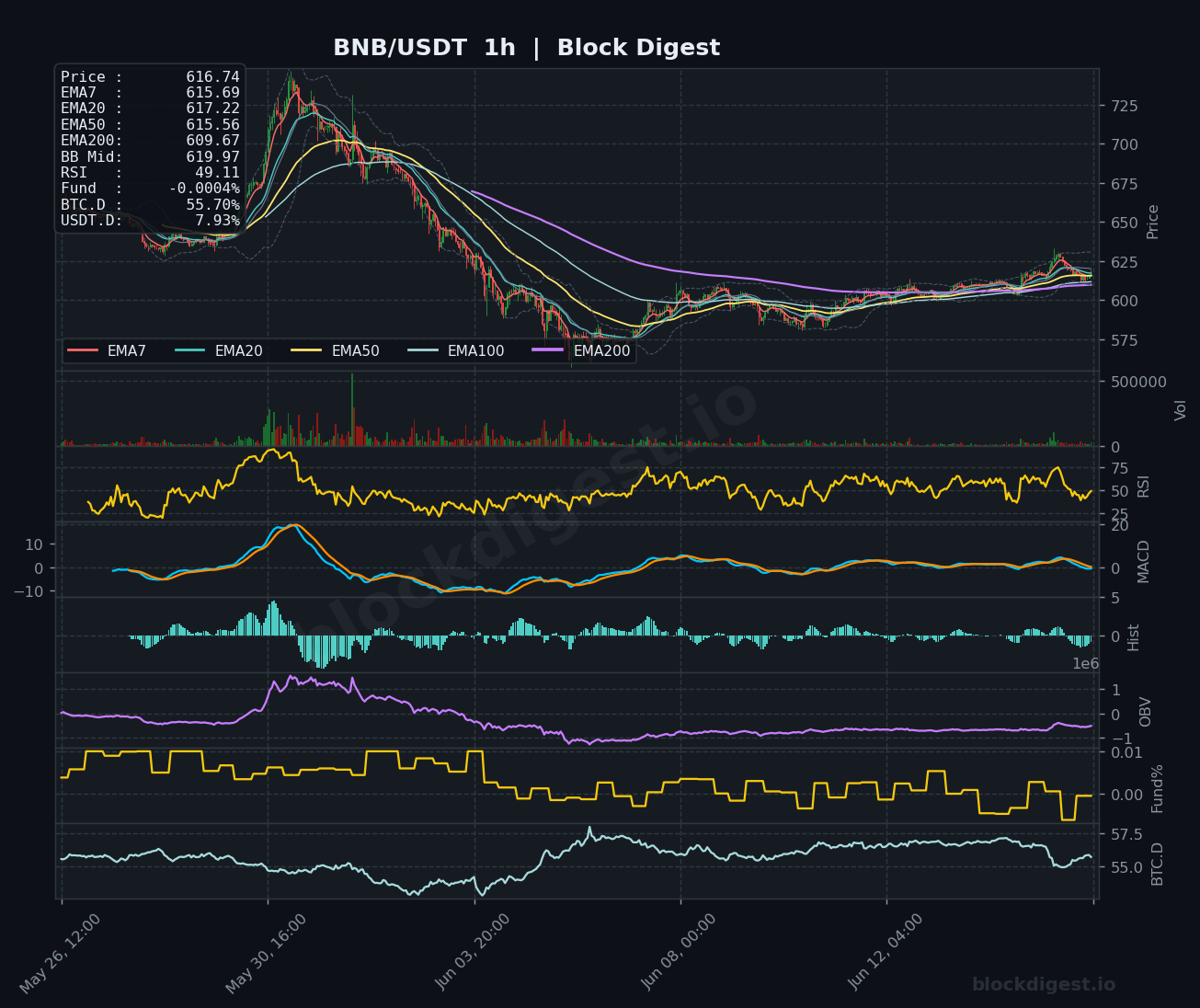 BNB/USDT 1-Hour Chart — Block Digest