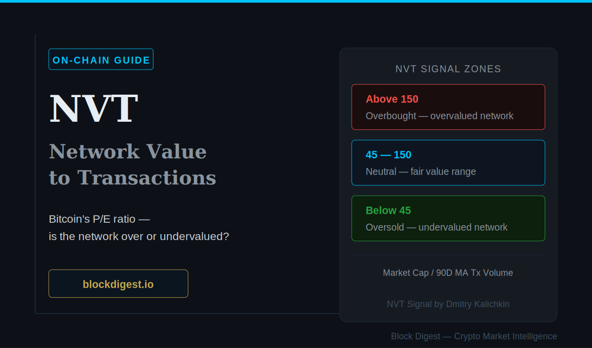 NVT ratio explained — Bitcoin network valuation zones from oversold to overbought